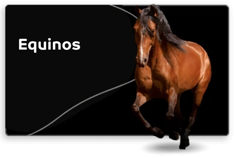 BANNER-LINEAS_02.jpg