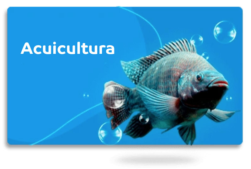 BANNER-LINEAS_04.jpg