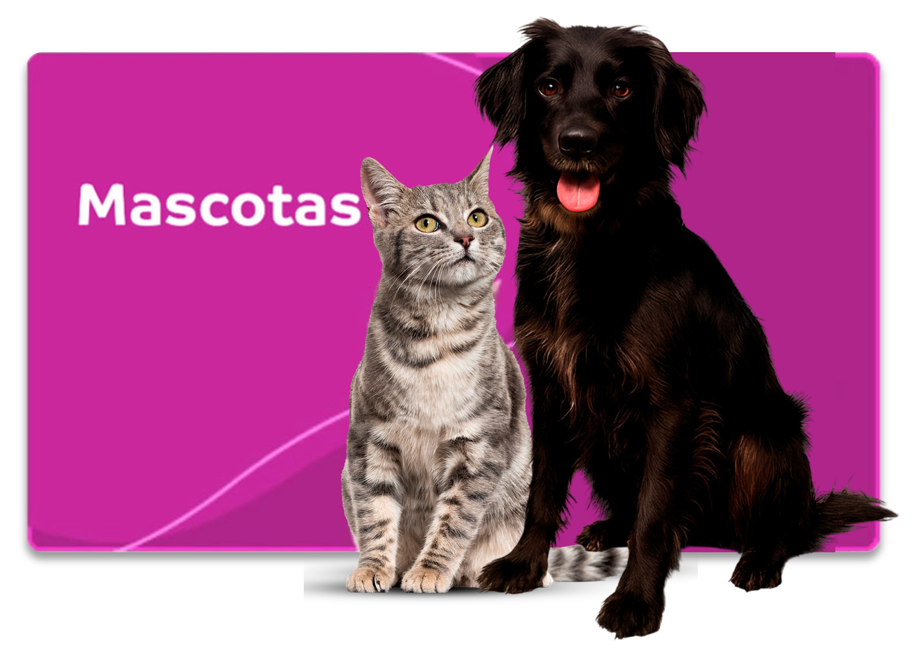 mascotas-italcol.jpg
